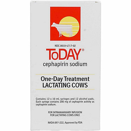 Today Tubes 10mL -12ct - Prescription Required