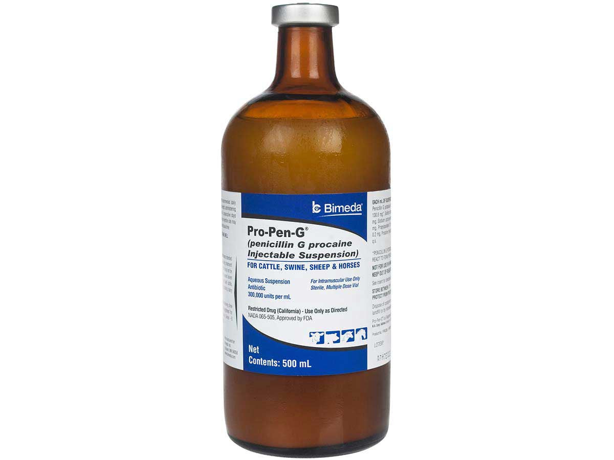 Pro-Pen G (Penicillin) Injection - Prescription Required