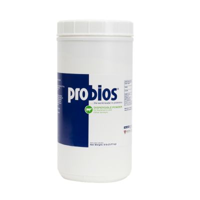 Probios Powder