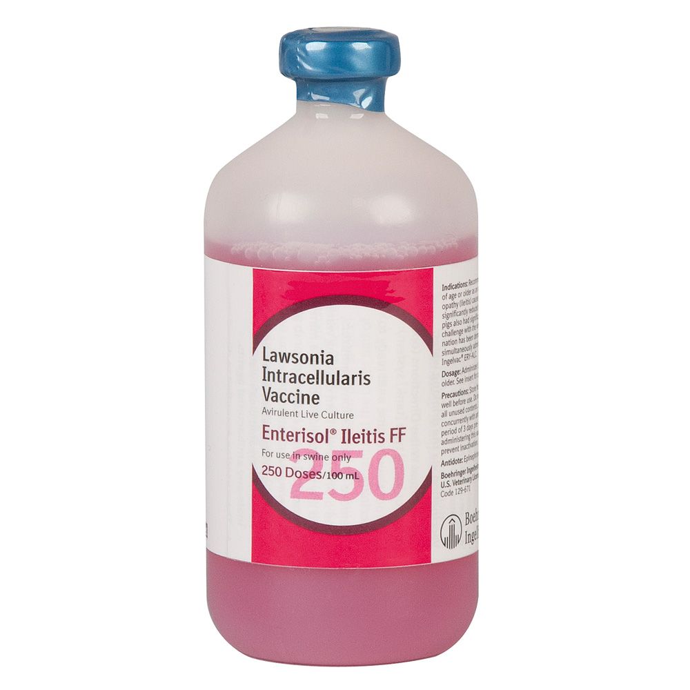 Enterisol Ileitis FF