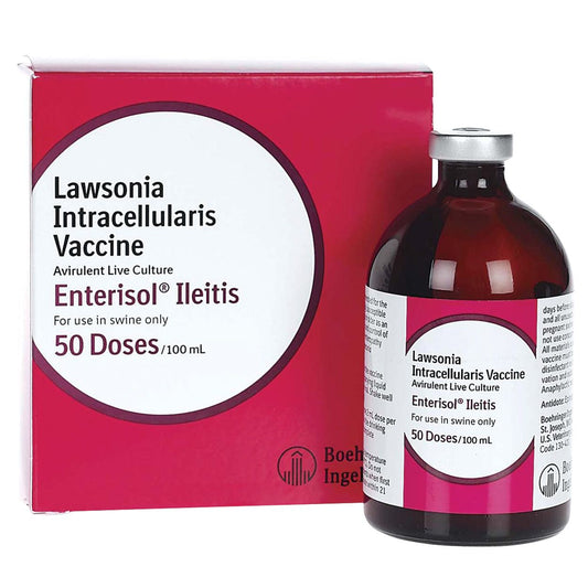 Enterisol Ileitis Non Frozen