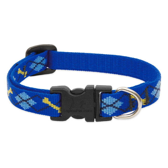 Lupine Collars & Leashes - 3/4"