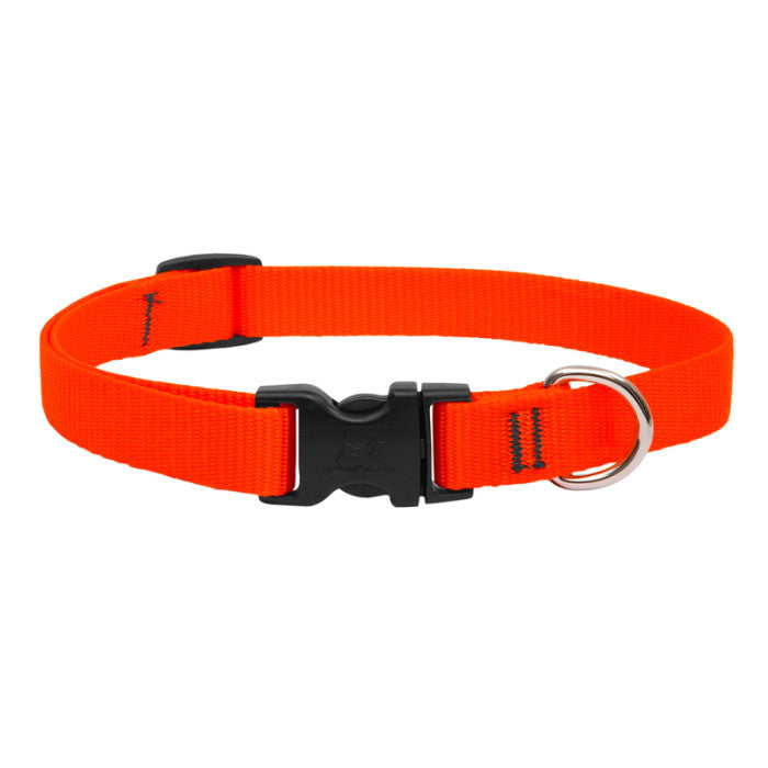 Lupine Collars & Leashes - 3/4"
