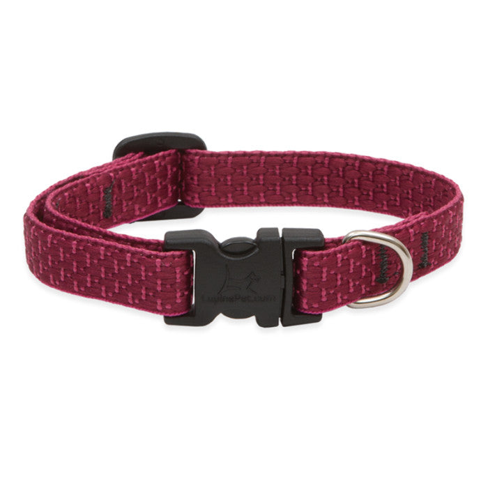 Lupine Collars & Leashes - 3/4"