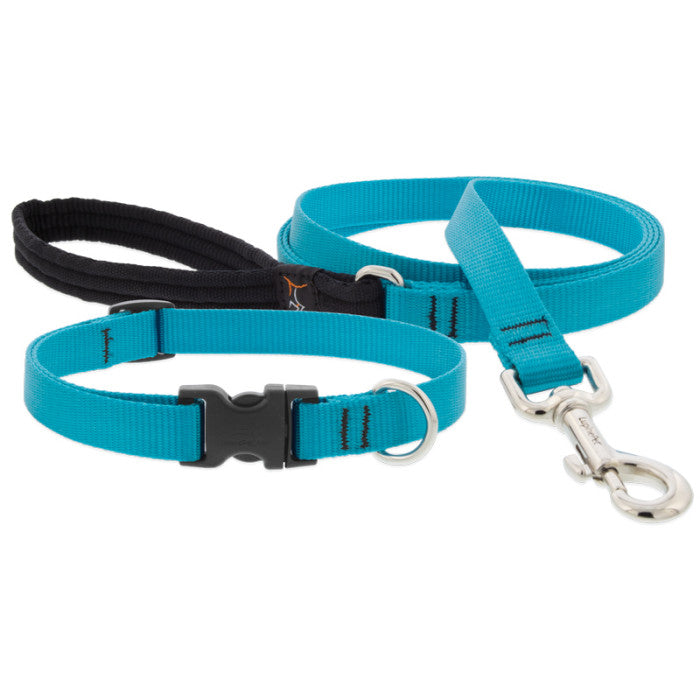 Lupine Collars & Leashes - 3/4"