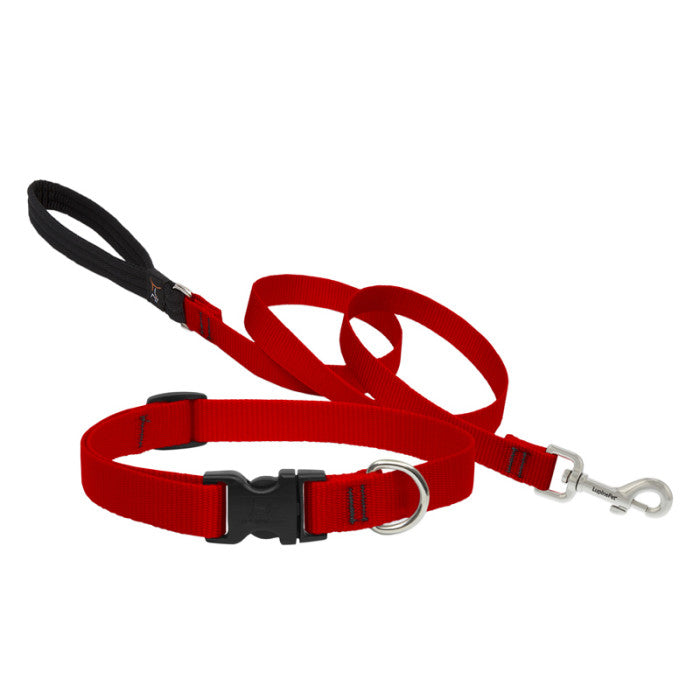 Lupine Collars & Leashes - 3/4"