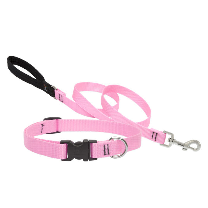 Lupine Collars & Leashes - 3/4"