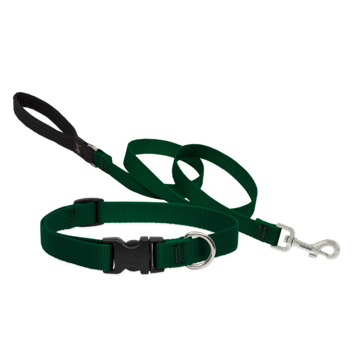 Lupine Collars & Leashes - 3/4"