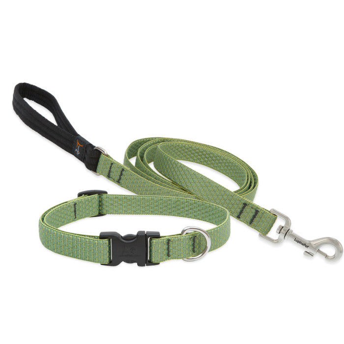 Lupine Collars & Leashes - 3/4"