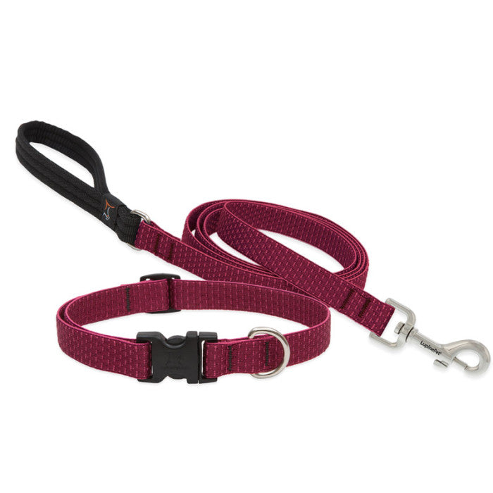 Lupine Collars & Leashes - 3/4"