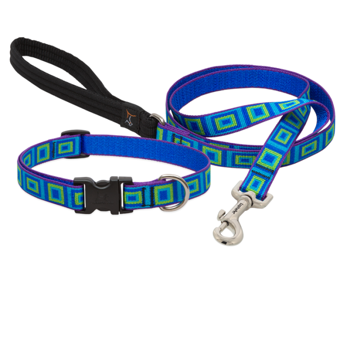Lupine Collars & Leashes - 3/4"