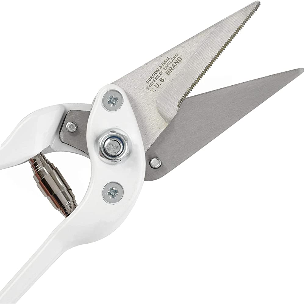 Professional Foot Rot Shears