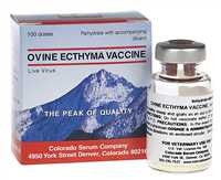 Ovine Ecthyma Vaccine