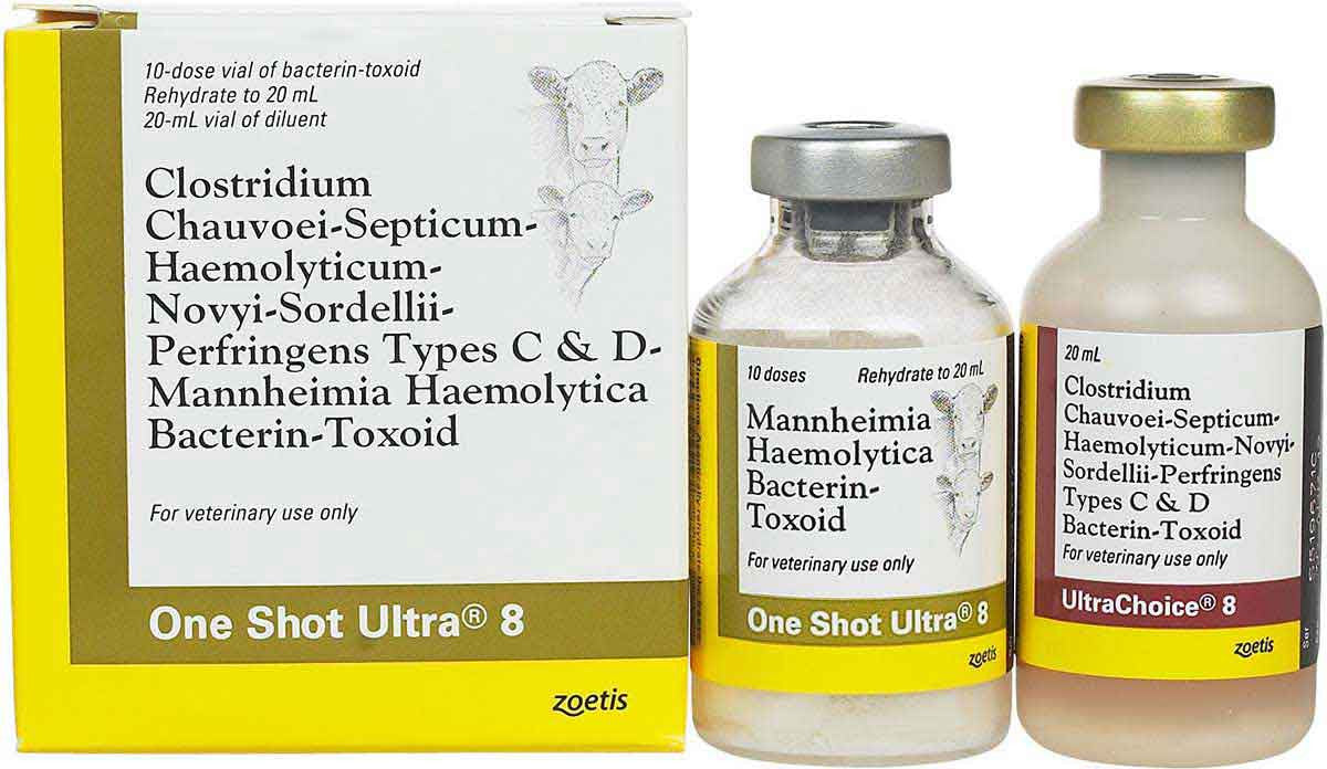 One Shot Ultra 8