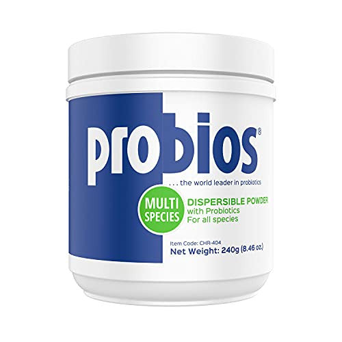 Probios Powder