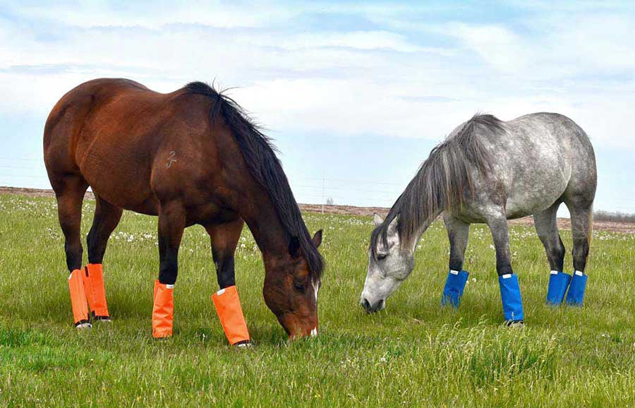 Shoo Fly Horse Fly Boots Set of 4