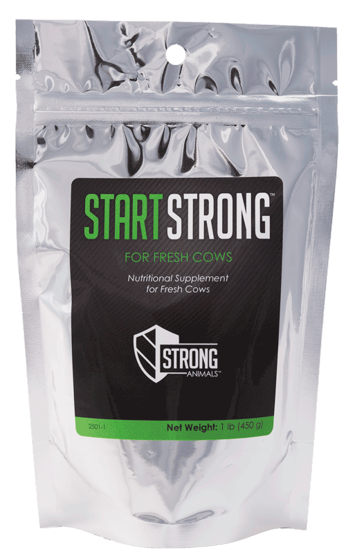 Start Strong For Fresh Cows - 1#