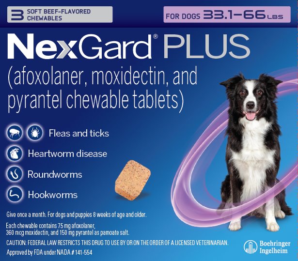 Nexgard Plus 3 Pack