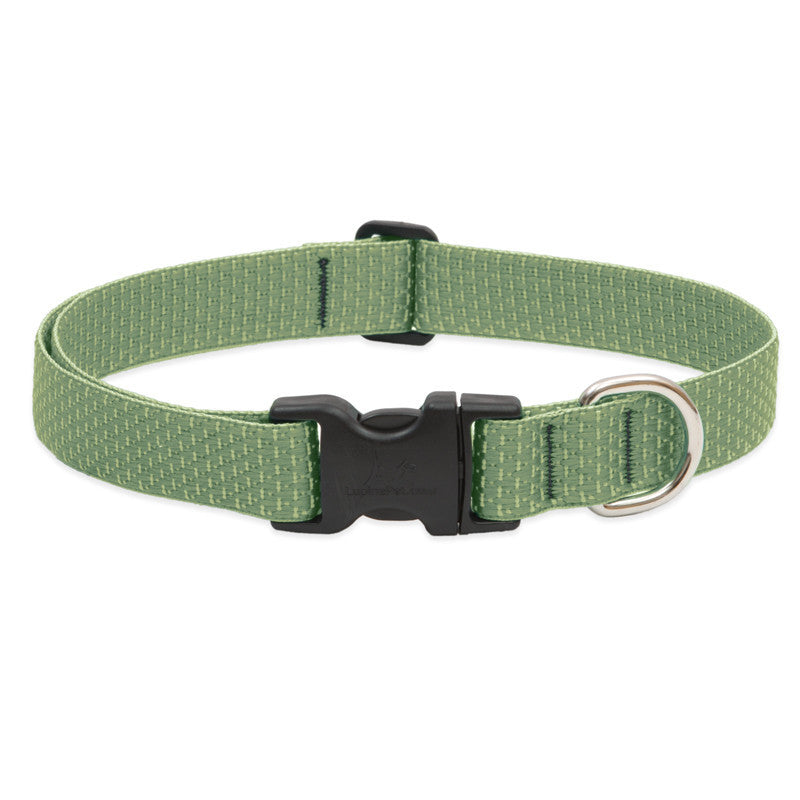 Lupine Collars & Leashes - 1"