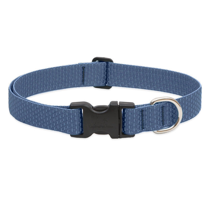 Lupine Collars & Leashes - 1"