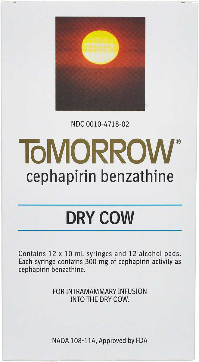 Tomorrow Tubes - 12ct - Prescription Required