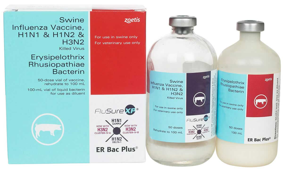 FluSure XP / ER Bac Plus - 50 Dose