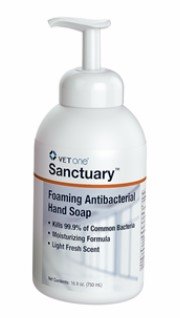 Sanctuary Foaming Antibacterial Hand Soap 16.9 oz