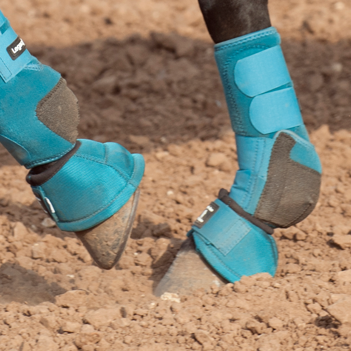Classic Equine Legacy2 Splint & Bell Boots