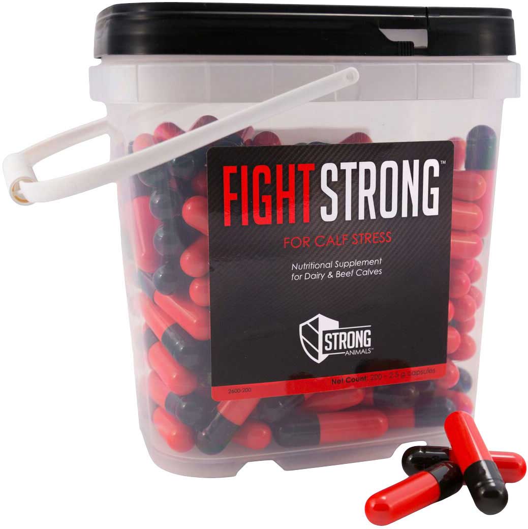 Fight Strong for Calf Stress 