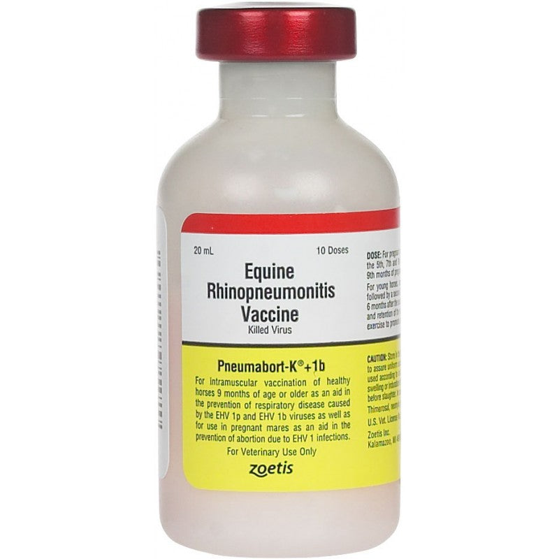 Pneumabort-K + 1B