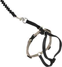 PetSafe Come With Me Kitty Harness and Leash