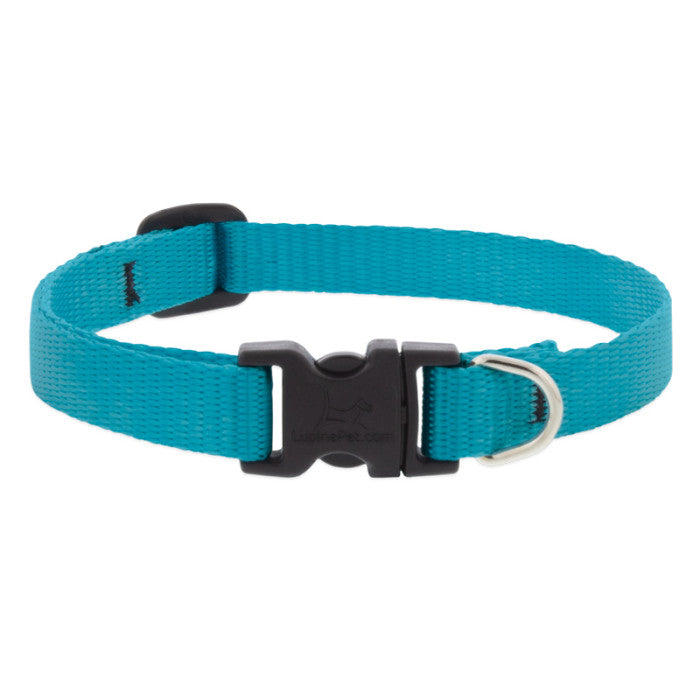 Lupine Collars & Leashes - 1/2" 