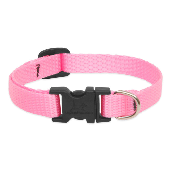 Lupine Collars & Leashes - 1/2" 
