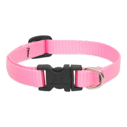 Lupine Collars & Leashes - 1/2" 