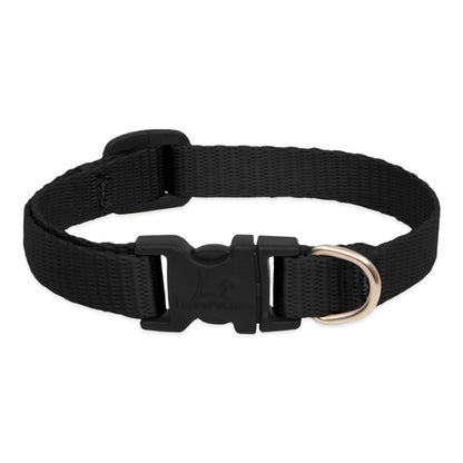 Lupine Collars & Leashes - 1/2" 