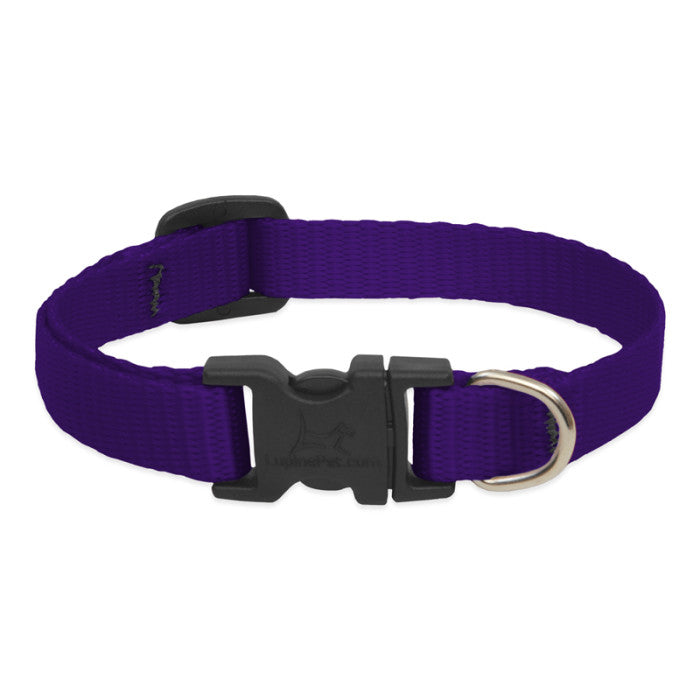 Lupine Collars & Leashes - 1/2" 