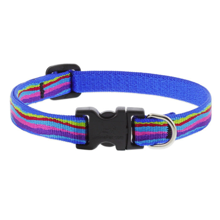 Lupine Collars & Leashes - 1/2" 