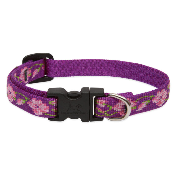 Lupine Collars & Leashes - 1/2" 