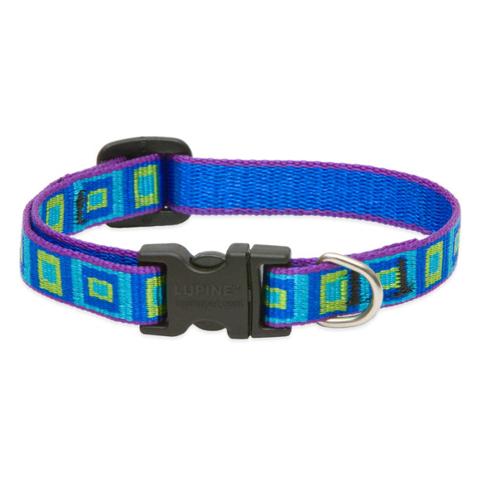 Lupine Collars & Leashes - 1/2" 