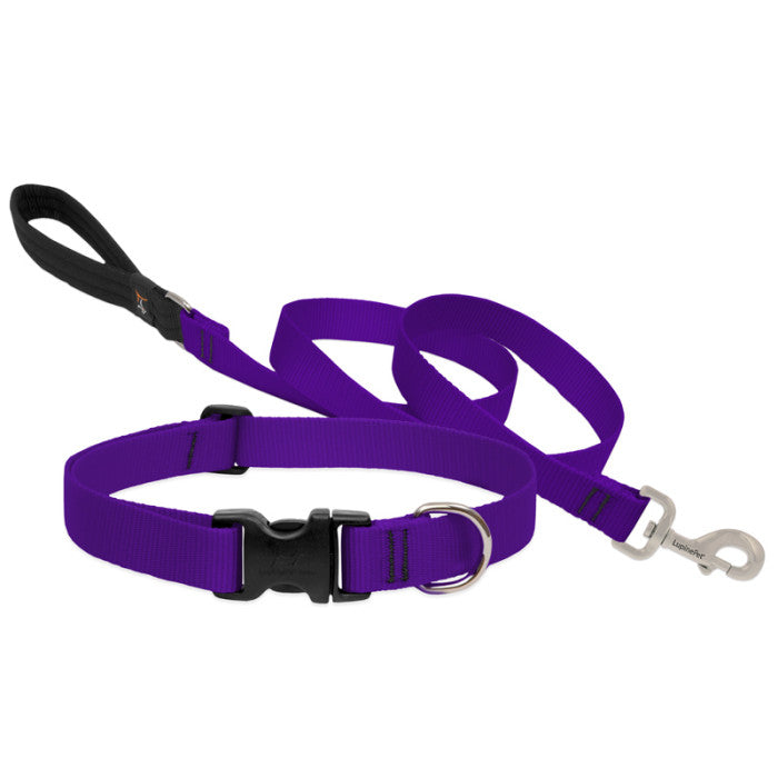 Lupine Collars & Leashes - 1"