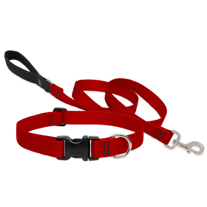 Lupine Collars & Leashes - 1"
