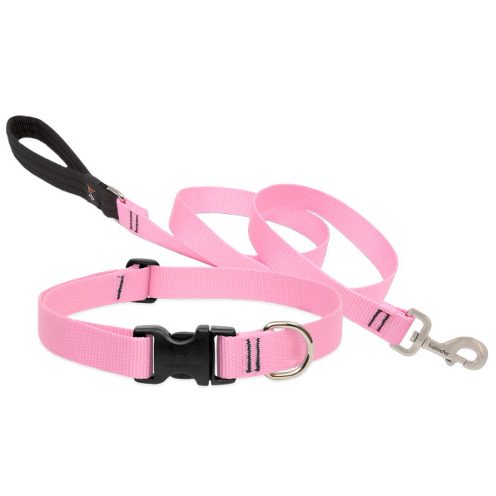 Lupine Collars & Leashes - 1"