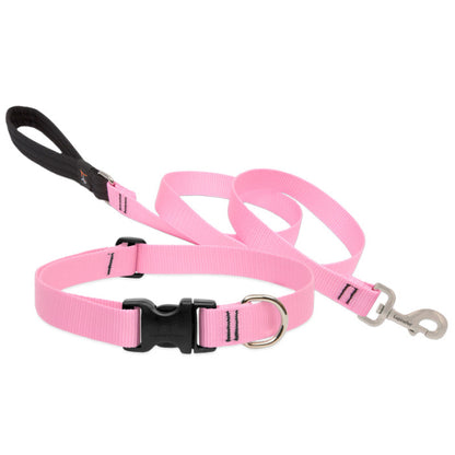 Lupine Collars & Leashes - 1"