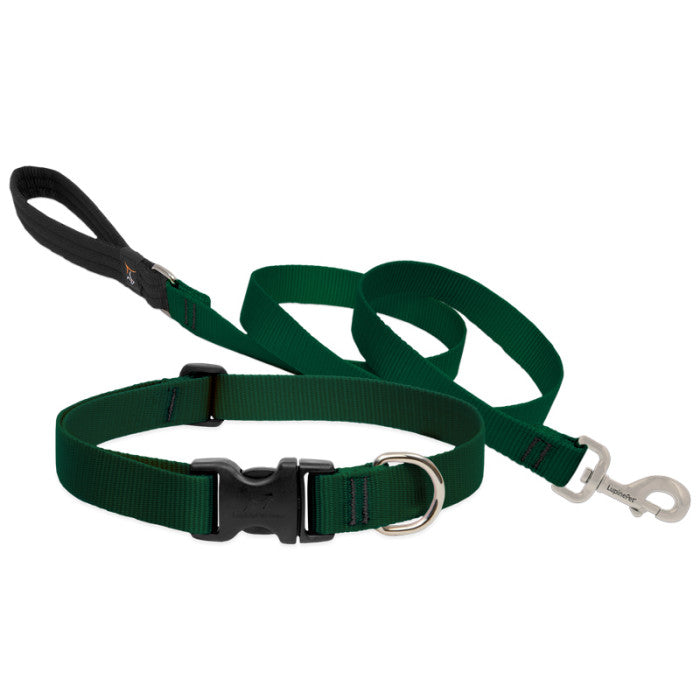 Lupine Collars & Leashes - 1"
