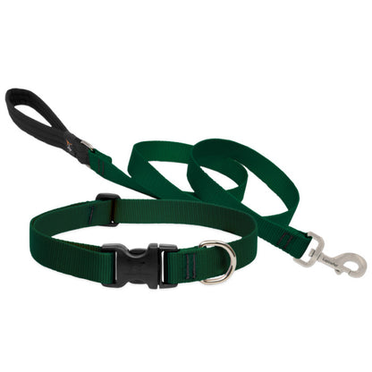 Lupine Collars & Leashes - 1"