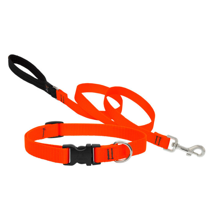Lupine Collars & Leashes - 1"