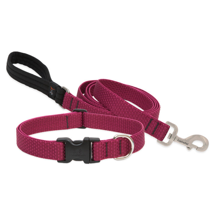 Lupine Collars & Leashes - 1"