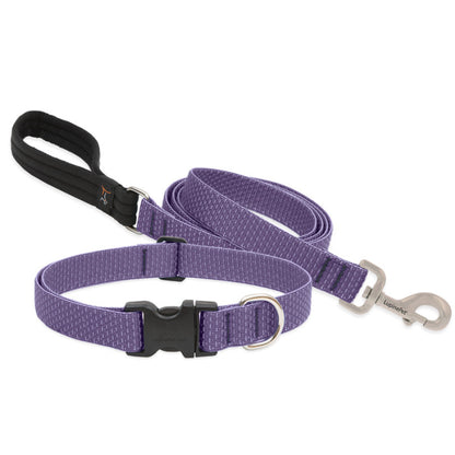 Lupine Collars & Leashes - 1"