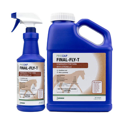 Final Fly-T