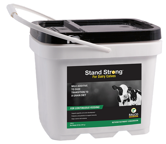 Stand Strong for Dairy Calves